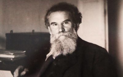АНОНС