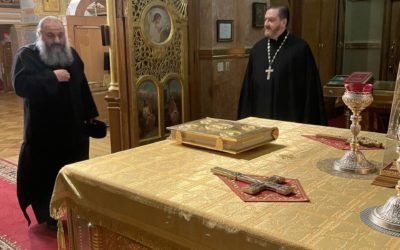 Патриарший викарий Антиохийского Патриархата посетил Николаевский собор