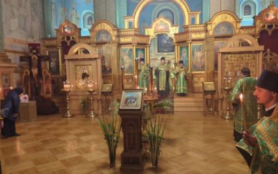 Фото: Вербное воскресенье в Николаевском соборе